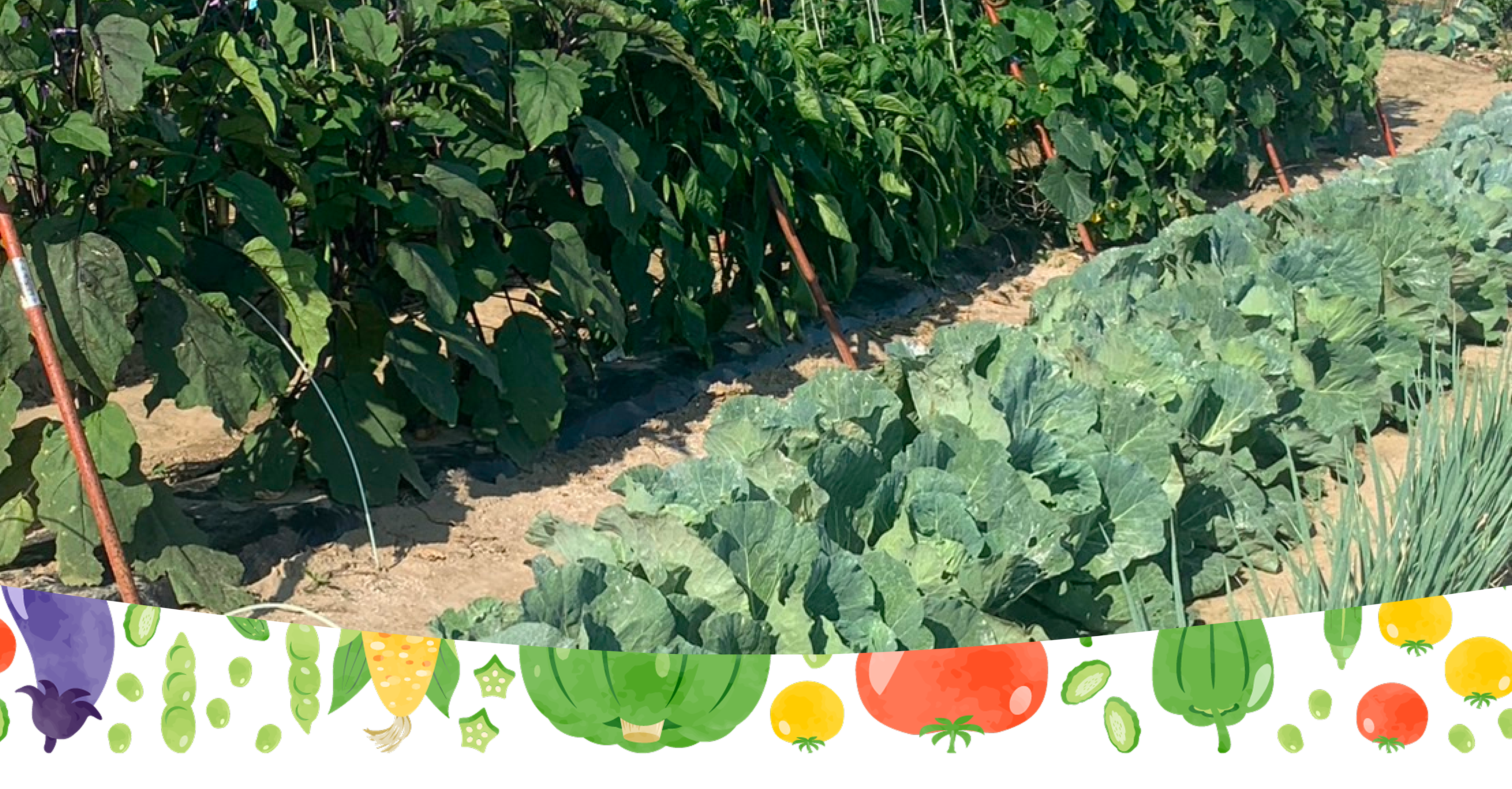 自然とともに、自分らしさを育てよう。