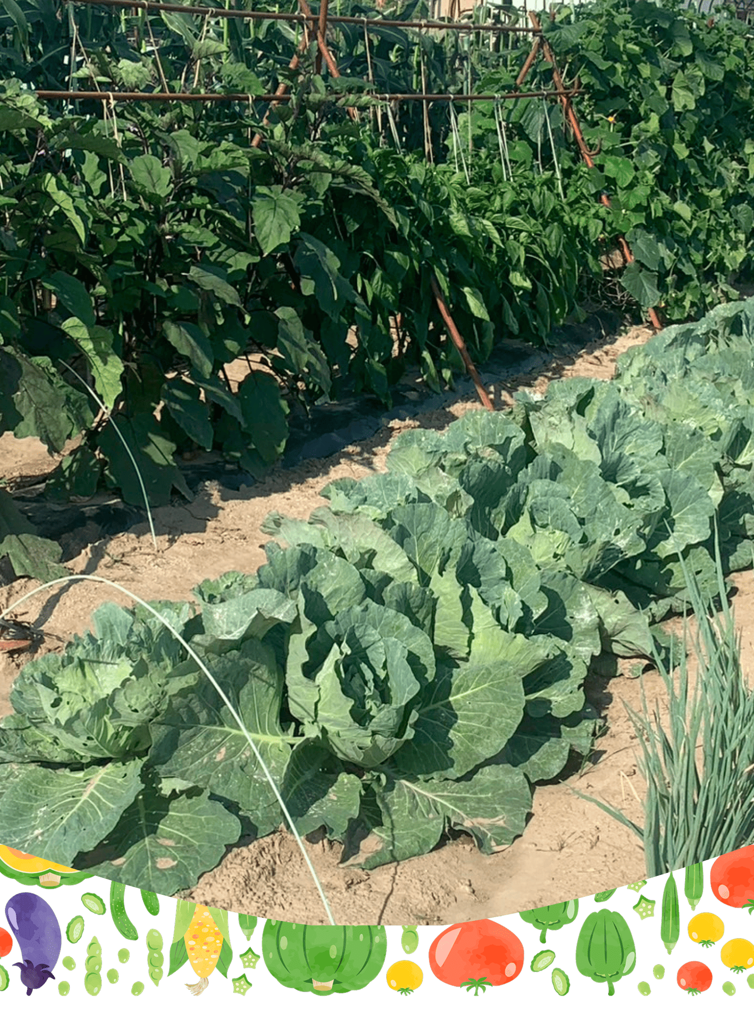 自然とともに、自分らしさを育てよう。